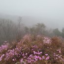 대전둘레산길(5구간) 이미지