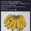 옥정청과 | 양주 과일 야채 배달 덕계 사내들 밴드 주문 후기