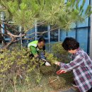 우암동행정복지센터 이미지