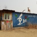 카페호미