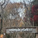 소노벨비발디파크 이미지