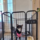 한밭도서관 화장실 이미지