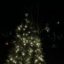 아리산스테이지 이미지