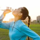 머슬바디짐 이미지