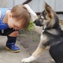 쓰담쓰담 이미지