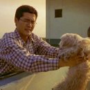 플란다스의 개 이미지