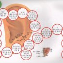 이혈요법 이미지