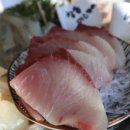 주문진 방파제회센타 이미지