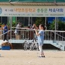 내양초등학교 이미지