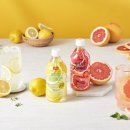 블루비타 이미지