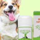 아지발바닥 이미지