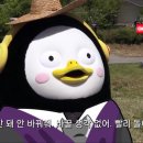 미스티로즈