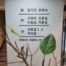동인동물병원 네이버블로그
