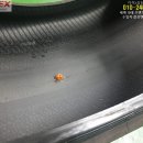 서수원점 타이어프로 이미지