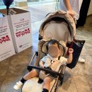 참조은카서비스 | 15개월 아기랑 괌 4일차/조은렌터카, 남부투어 스페인광장, 에메랄드밸리, 롱혼스테이크, K마트, 썬더...