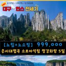 동양항공여행사