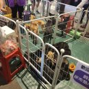 잉크천지 | 대만 타이페이 주말 꽃시장, 옥시장│극호(♥) 후기