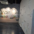 화진포관광지2 이미지