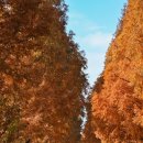 북성경로당 이미지