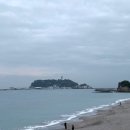 키에나 - 화성시 향남로 402 | [여행] 도쿄 3박4일 Day3-가마쿠라, 신주쿠 칸아가리, 돈키호테 추천템, 몬치치, 캔메이크 추천템