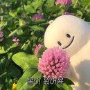 방배천로4안길 66 | [일상 기록] 3월 기록 / 아아 봄이 오고있어요🌷