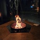 모닥불솥뚜껑구이 이미지