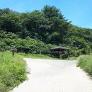 계룡산임도삼거리(입구) 이미지