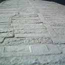 1월21일.오늘 이미지