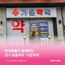 가온약국 이미지