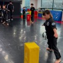 라온 합기도 이미지