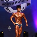 바디메이커 비스트짐 이미지