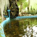 안산식물원 이미지