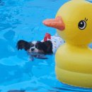 조강로 56번길 이미지