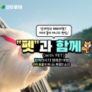 (주)메가투어 티스토리