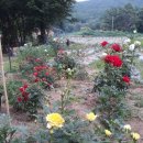 양수농장 이미지