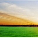 화성제2주유소 이미지