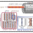 액틴 이미지