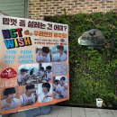 만복흑돼지 | 서귀포) 만복 흑돼지 :: 오겹살 2인분, 후식 물냉면 후기