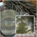 황산와송