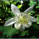 까치울역 2번 출구 이미지