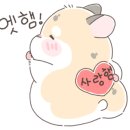 목동클라이밍센터