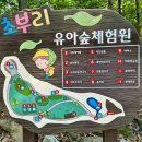 초부리유아숲체험원 이미지
