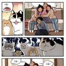 유랑민박 네이버블로그