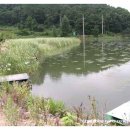 서검낚시터 이미지