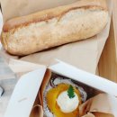 빛나펫살롱 이미지