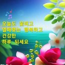 잠언 16 장25절~어떤 길은 사람의 보기에 바르나 필경은 사망의 길이니라. 이미지