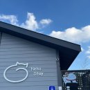 네코스테이 고양이마을 이미지