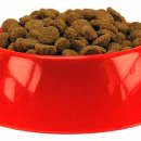 개밥그릇 이미지