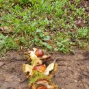 덕용농장 이미지