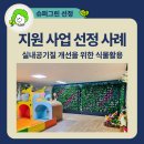 창미유치원 | 슈퍼그린 수직정원, &#39;실내공기질 개선을 위한 식물활용 시범사업&#39;으로 친환경 숨결을 더했어요!